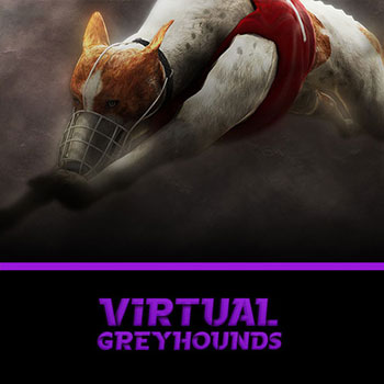 Greyhound Streak