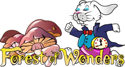 Forest of Wonders